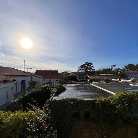 Bright 49m With Terrace Appartement *