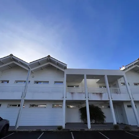 Bright 49m With Terrace *